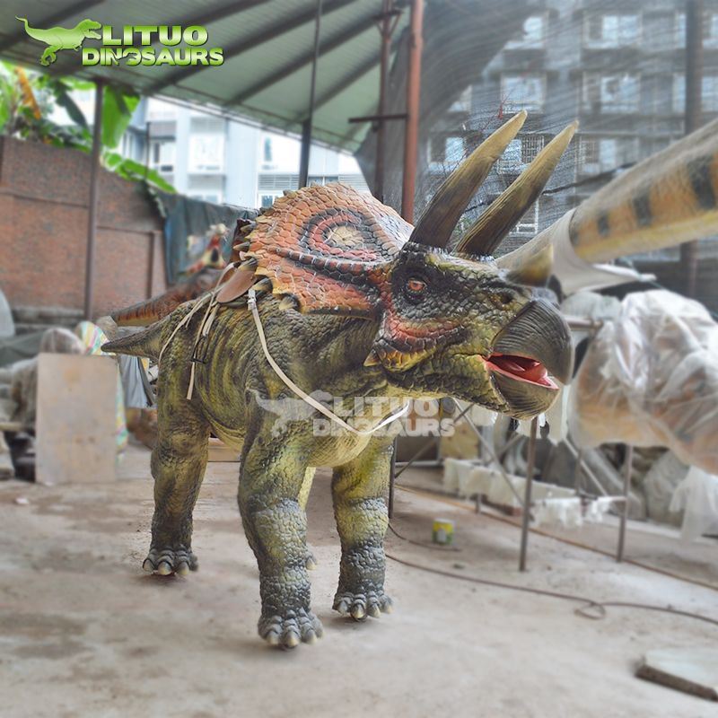 4 dinosaur Triceratops Rides(001)