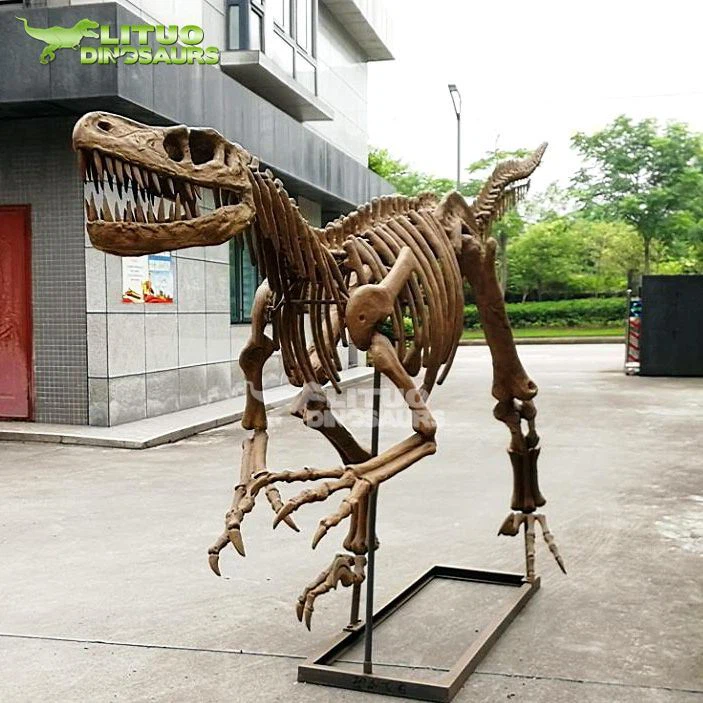 2Raptor Skeleton(001)
