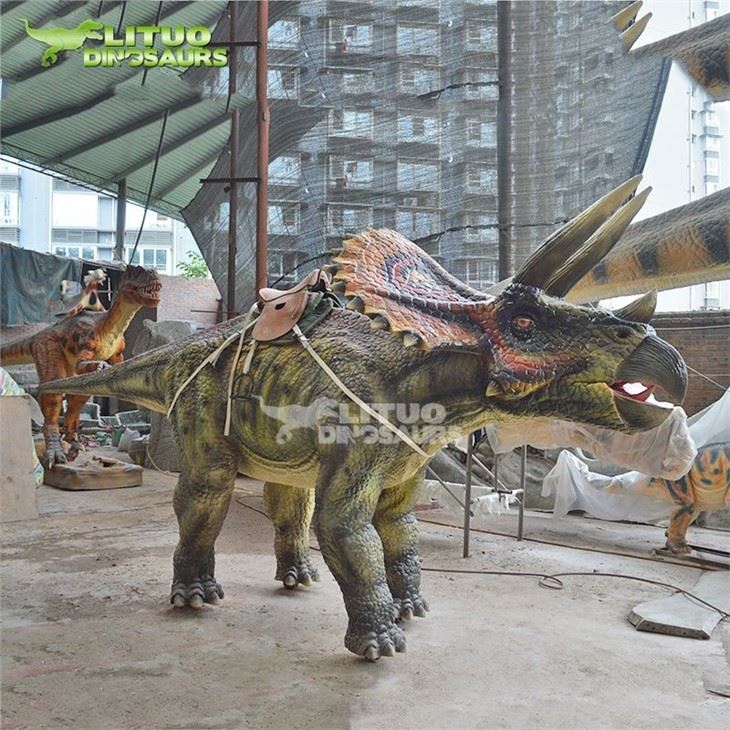 3Triceratops Rides(001)